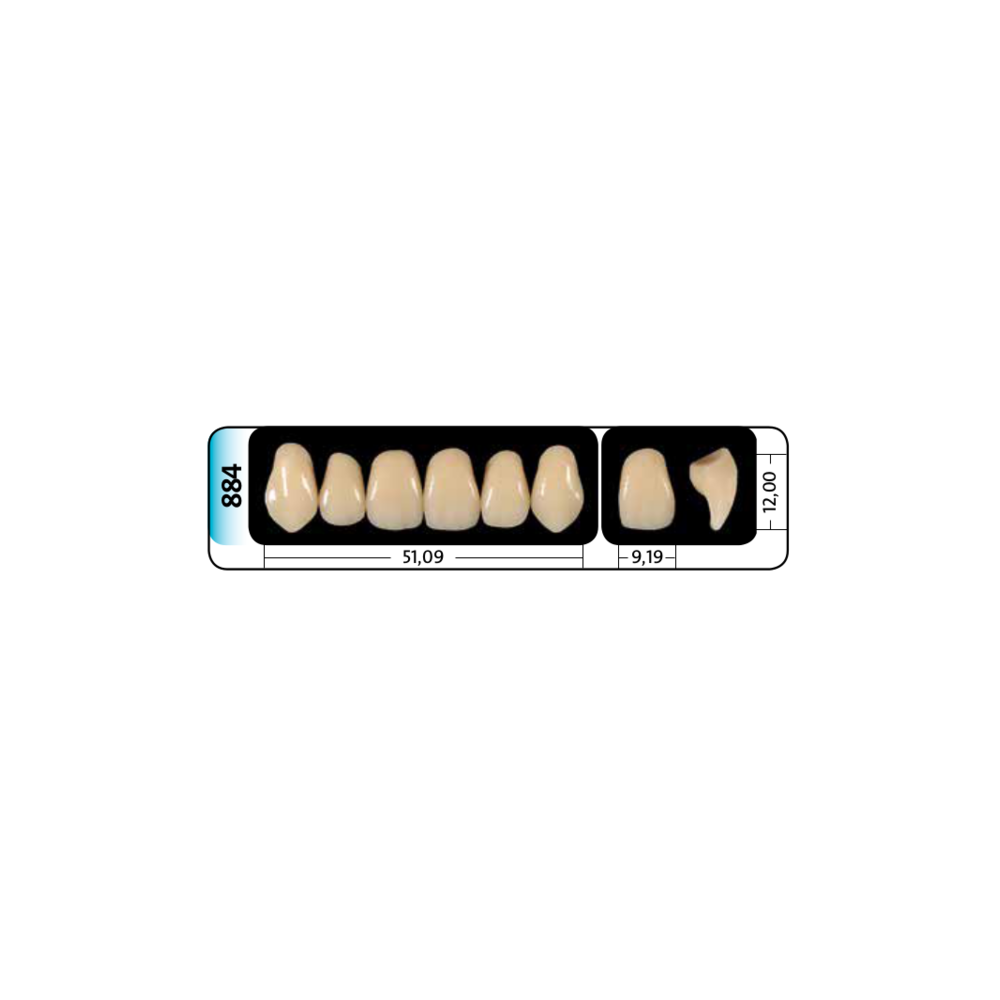 Zęby przednie PhysioStar® NFC+ 884