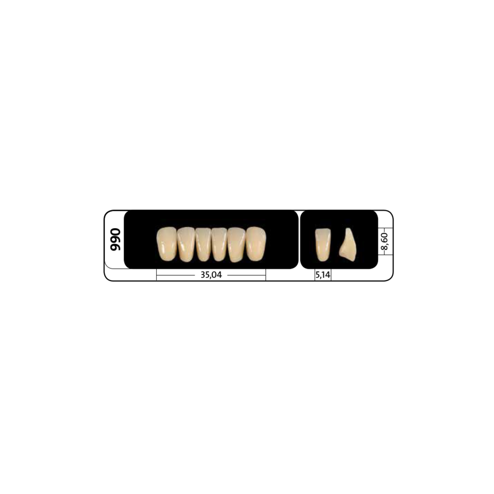 Zęby przednie PhysioStar® NFC+ 990