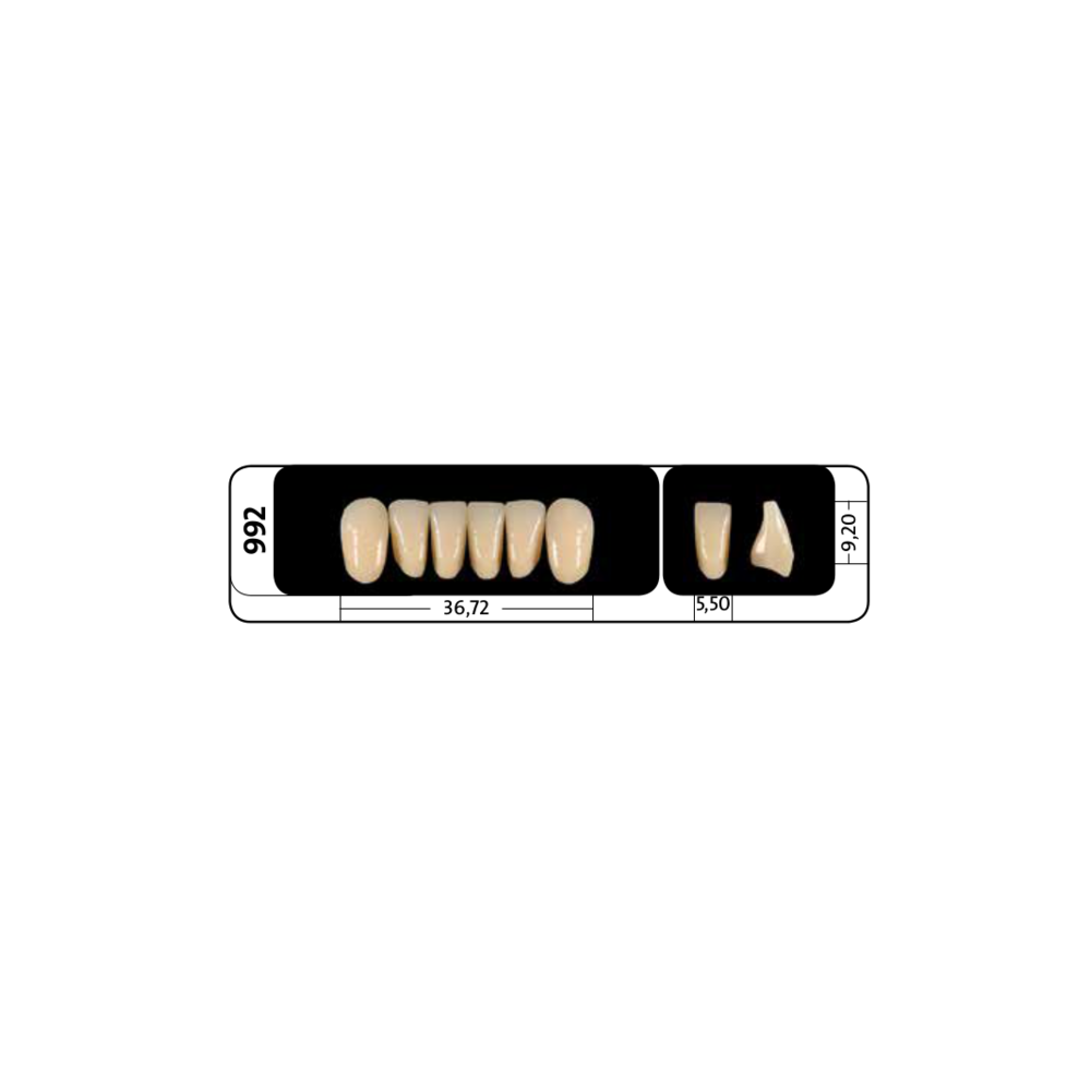 Zęby przednie PhysioStar® NFC+ 992