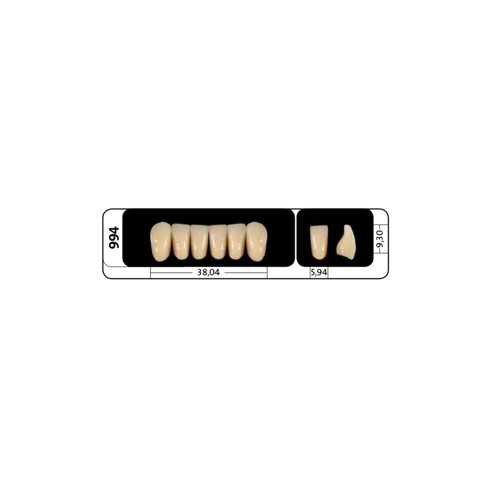 Zęby przednie PhysioStar® NFC+ 994