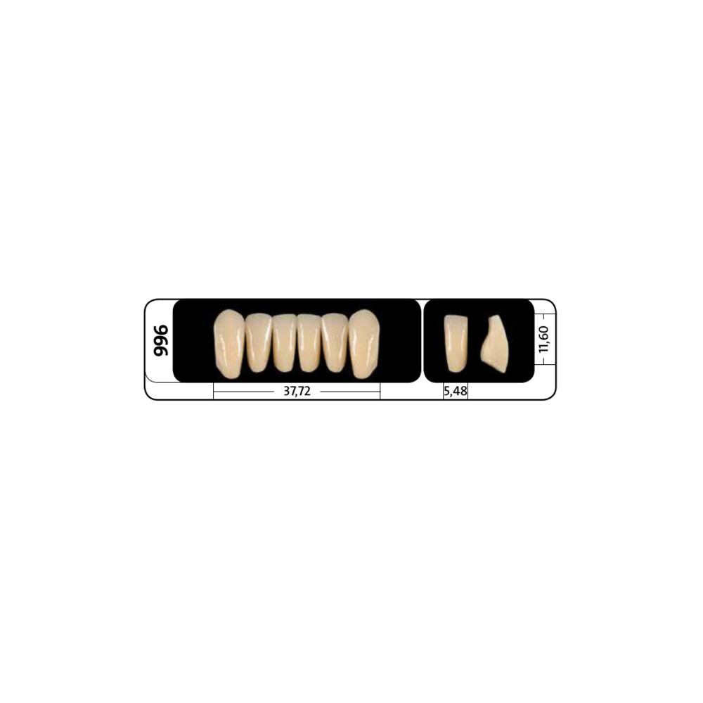 Zęby przednie PhysioStar® NFC+ 996