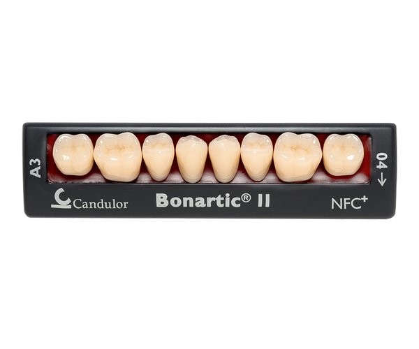 Zęby boczne Bonartic® II NFC+ 02 dolne