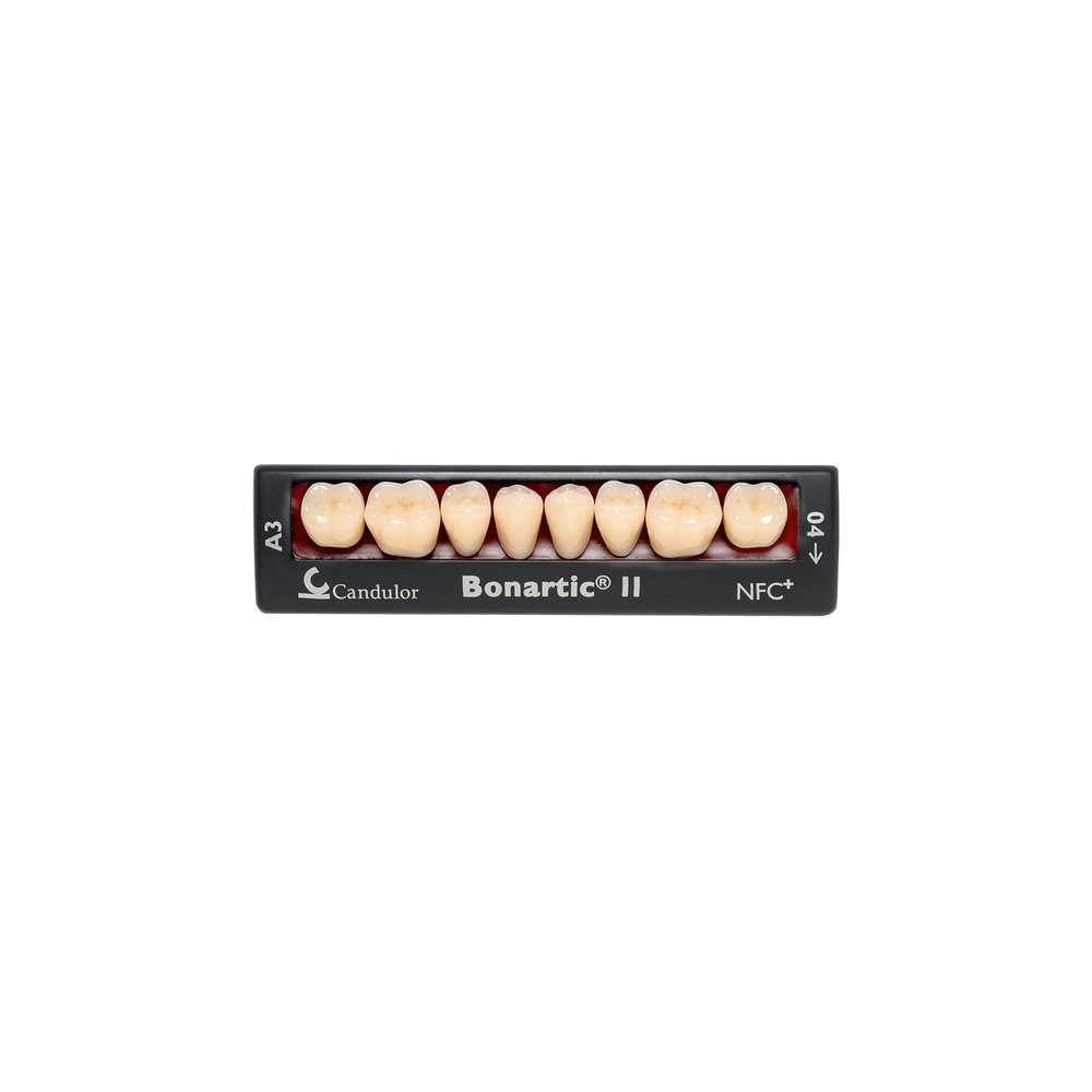 Zęby boczne Bonartic® II NFC+ 02 dolne