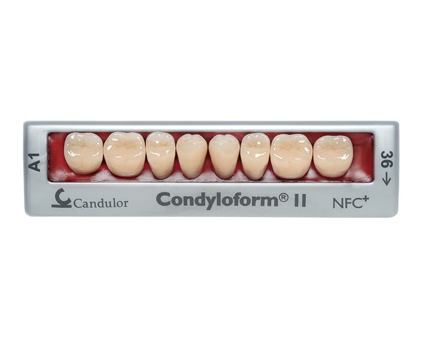 Zęby boczne Condyloform® II NFC+ 38 dolne
