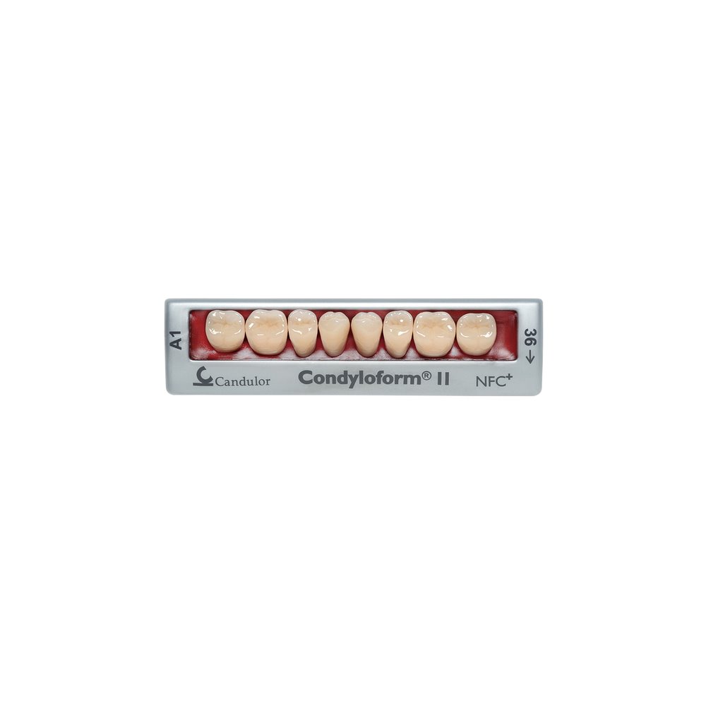 Zęby boczne Condyloform® II NFC+ 34 dolne