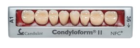 Zęby boczne Condyloform® II NFC+ 34 dolne