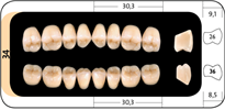 Zęby boczne Condyloform® II NFC+ 34 dolne