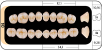 Zęby boczne Bonartic® II NFC+ 04 górne