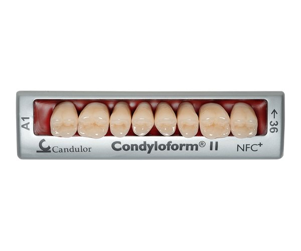 Zęby boczne Condyloform® II NFC+ 38 górne