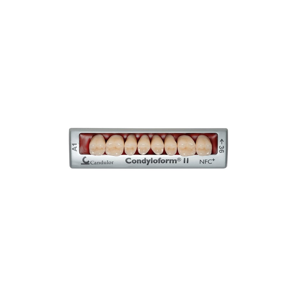 Zęby boczne Condyloform® II NFC+ 38 górne