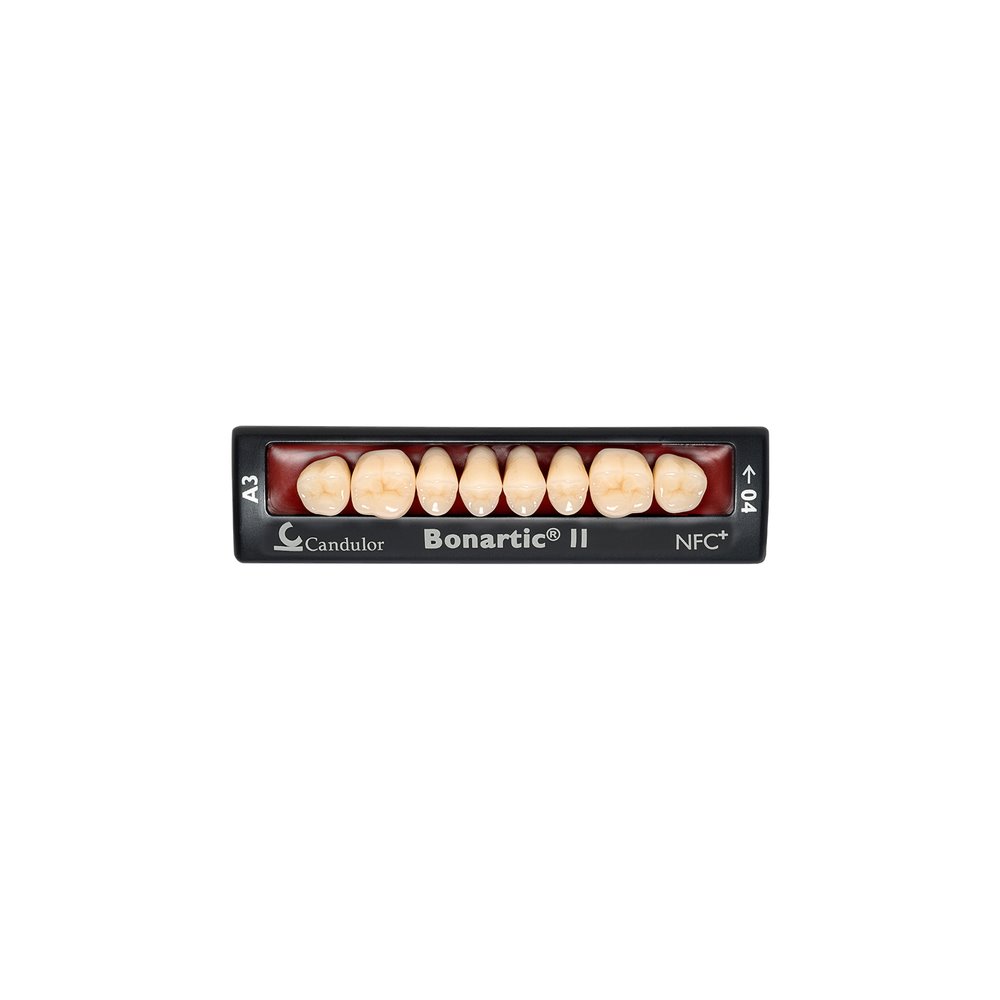 Zęby boczne Bonartic® II NFC+ 02 górne