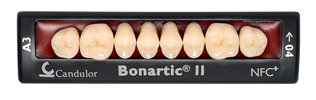 Zęby boczne Bonartic® II NFC+ 02 górne
