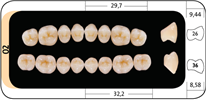 Zęby boczne Bonartic® II NFC+ 02 górne