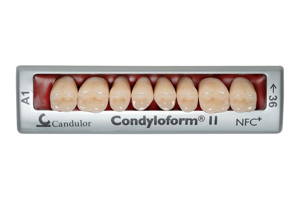 Zęby boczne Condyloform® II NFC+ 36 górne