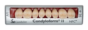 Zęby boczne Condyloform® II NFC+ 36 górne