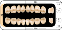 Zęby boczne Condyloform® II NFC+ 36 górne