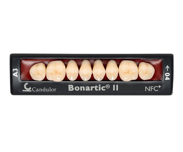 Zęby boczne Bonartic® II NFC+ 06 górne