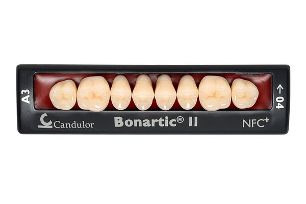 Zęby boczne Bonartic® II NFC+ 06 górne