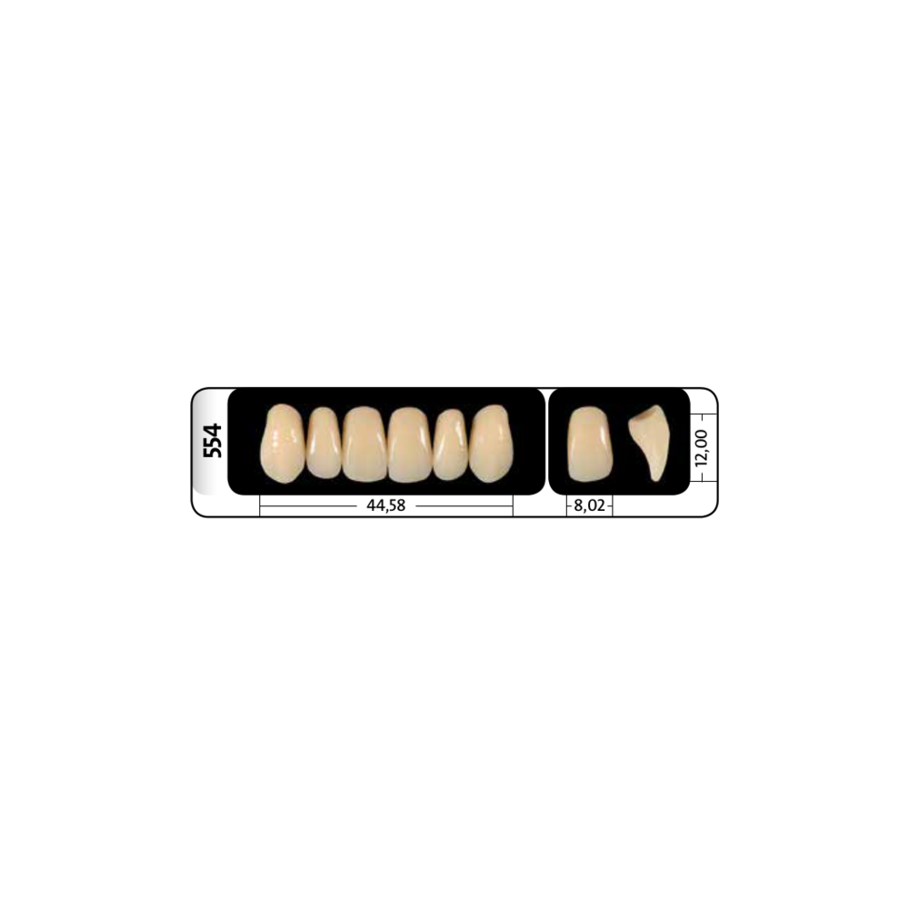 Zęby przednie PhysioStar® NFC+ 554