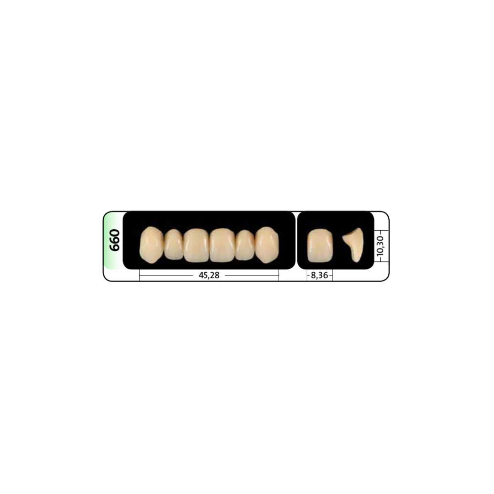Zęby przednie PhysioStar® NFC+ 662