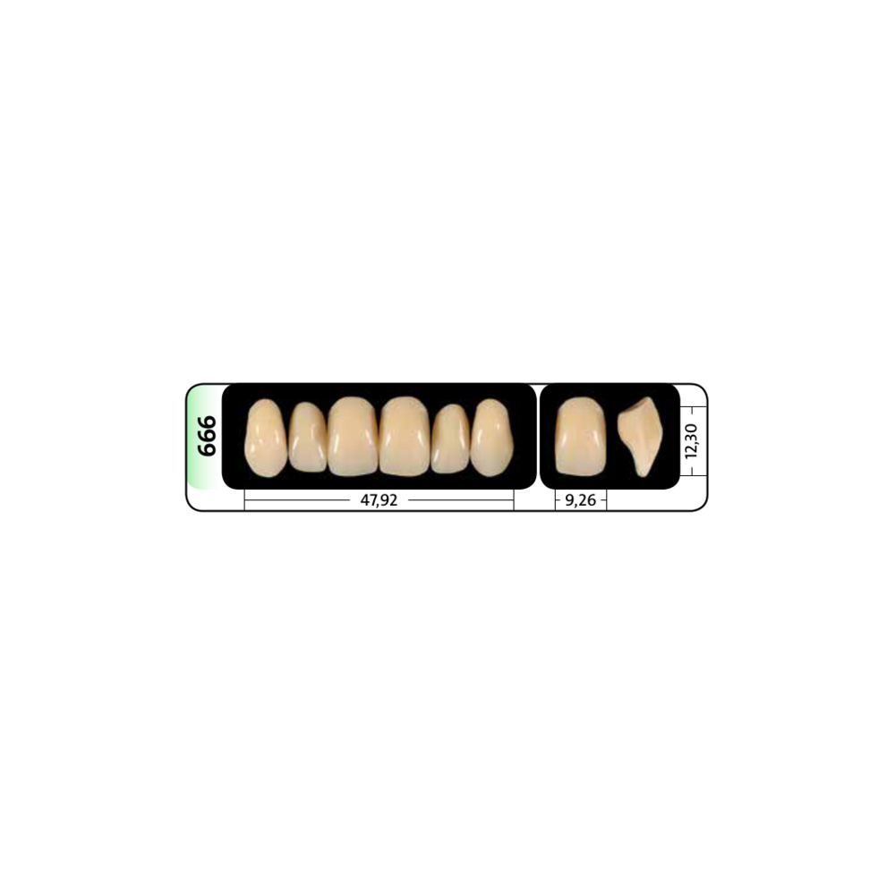 Zęby przednie PhysioStar® NFC+ 666