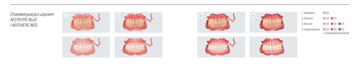 Charakteryzacja płyty protezy