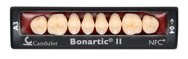Zęby boczne Bonartic® II NFC+ 02 górne
