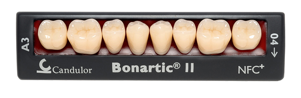 Zęby boczne Bonartic® II NFC+ 02 dolne