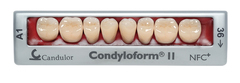 Zęby boczne Condyloform® II NFC+ 34 dolne